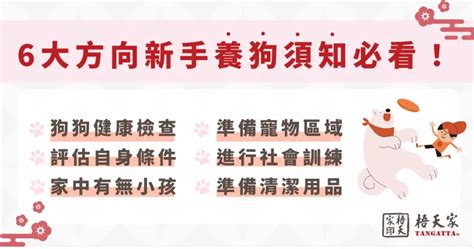 養狗|新手養狗入門指南！從物品準備到環境佈置，獸醫師分享 7 大常見。